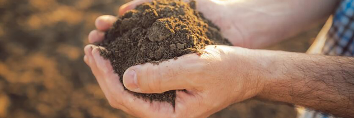 其它廢物處置與利用